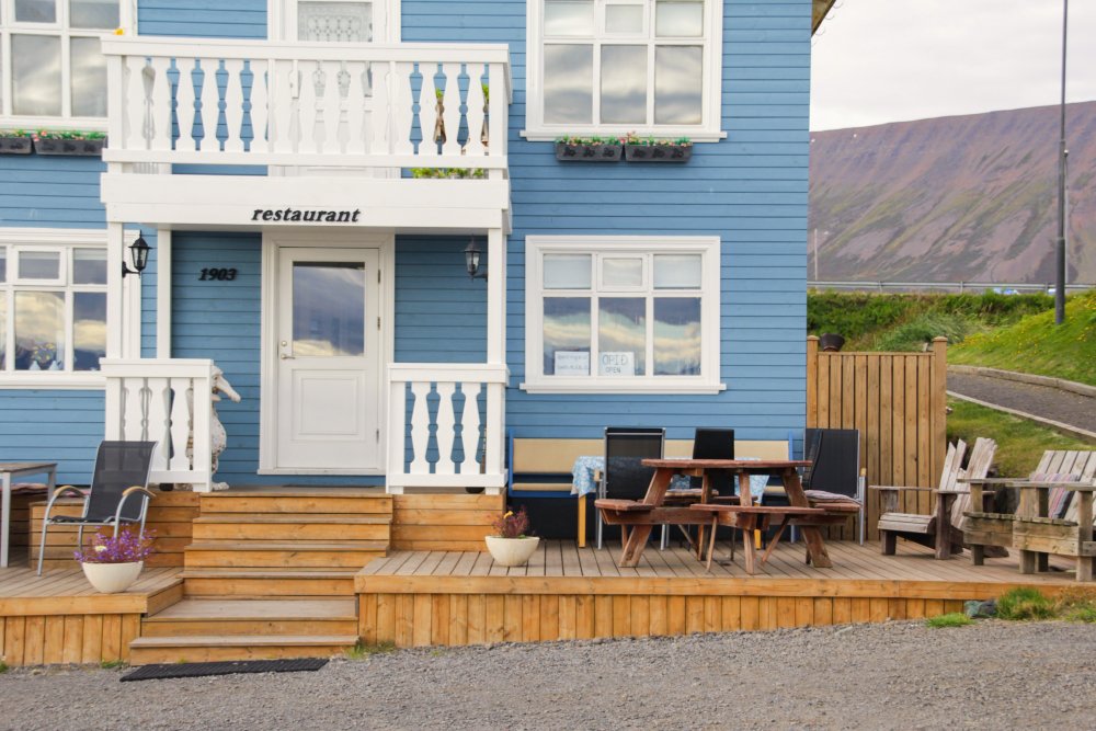 TimberTech vs Trex: A Real-World Case Study Comparing Two Premium Decking Brands
